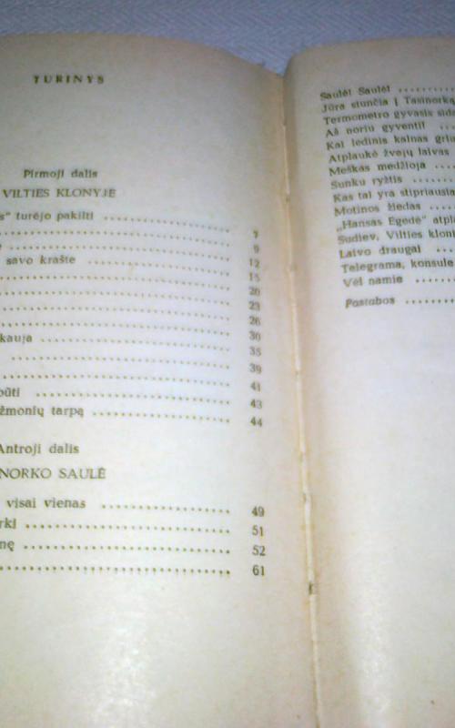 Vilties klonyje Grenlandijoje - Erikas Hansenas, knyga 2