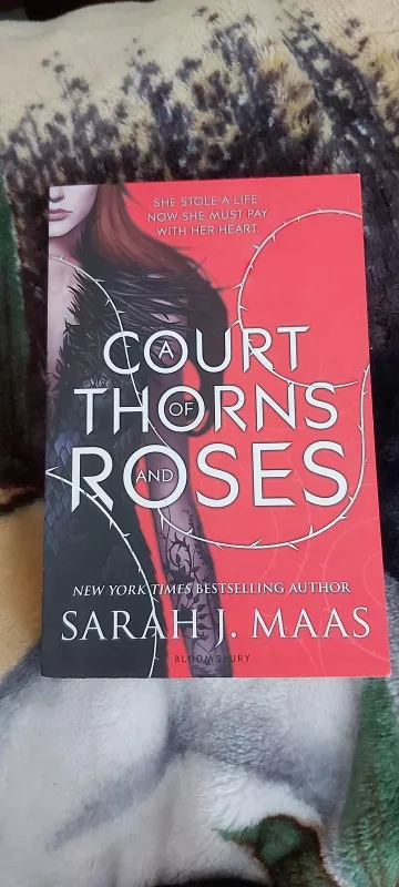 A Court of Thorns and Roses - Sarah J. Maas, knyga