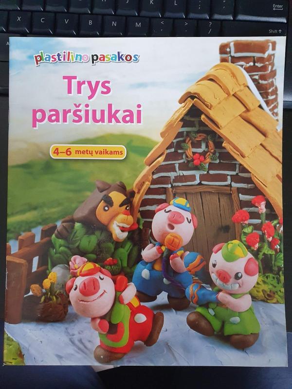 Trys paršiukai - Auntie Owl, knyga