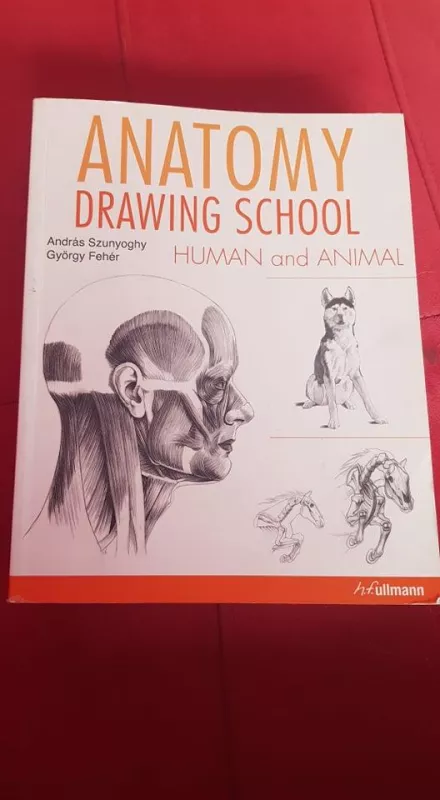 anatomy drawing school human and animal - Szunyoghy Andras, Gyorgy  Feher, knyga