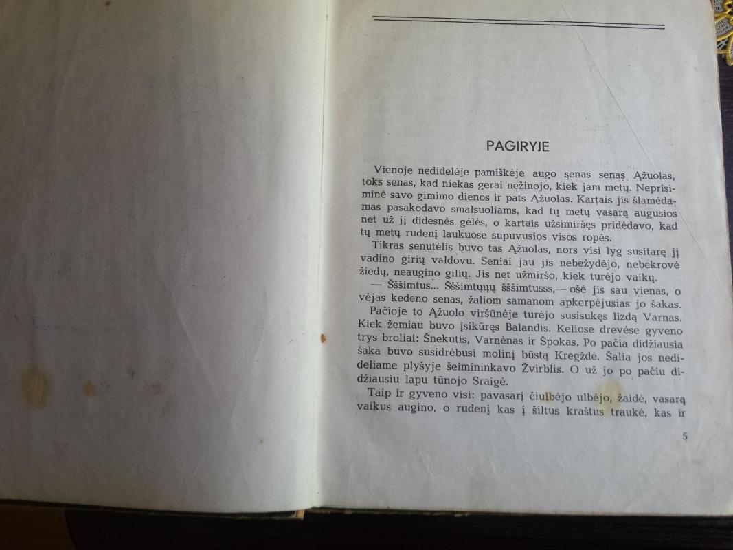 Gilės nuotykiai ydų šalyje - Vytautas Petkevičius, knyga 6