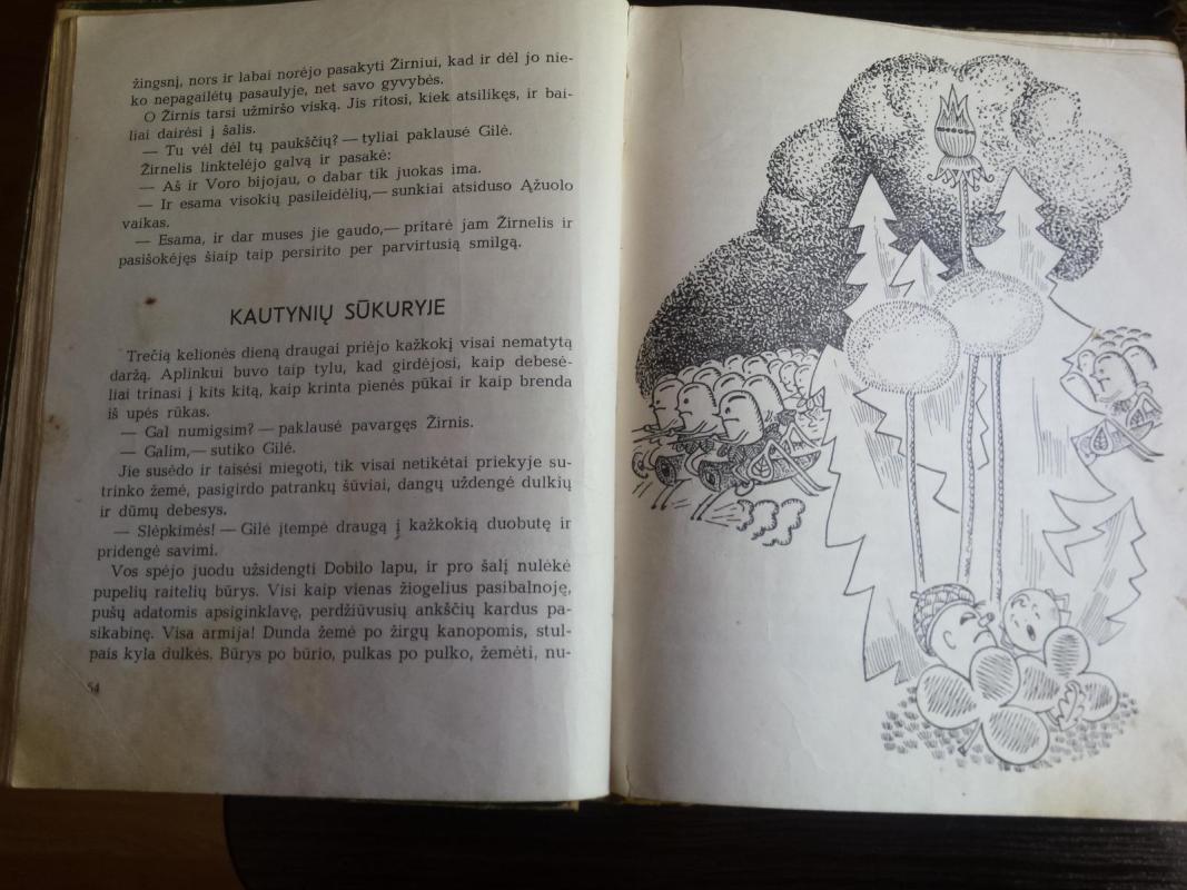 Gilės nuotykiai ydų šalyje - Vytautas Petkevičius, knyga 5