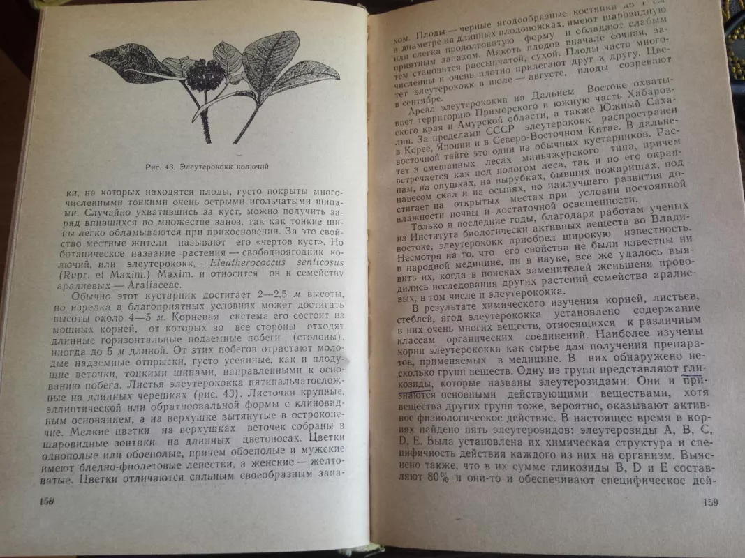 Vaistiniai augalai (rusų k.) - Autorių Kolektyvas, knyga
