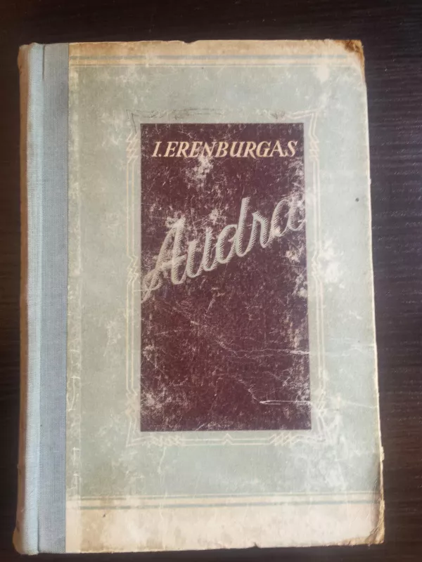 Audra - I. Erenburgas, knyga 2