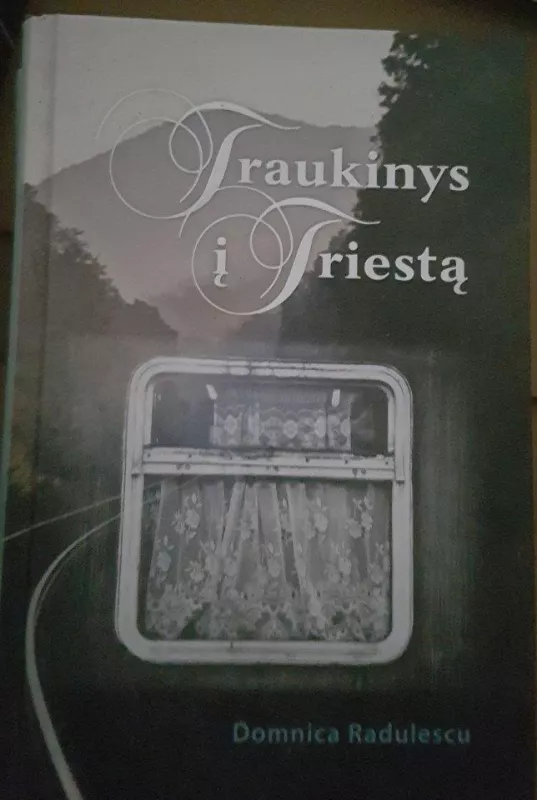 Traukinys į Triestą - Domnica Radulescu, knyga