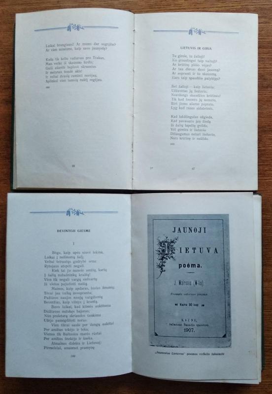 Rinktiniai raštai (2 tomai) -  Maironis, knyga 5