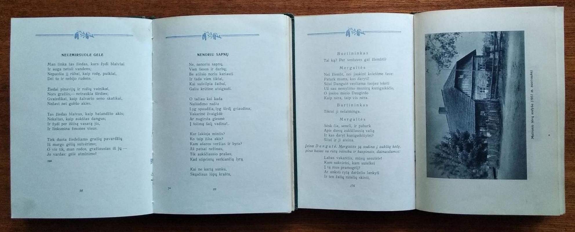 Rinktiniai raštai (2 tomai) -  Maironis, knyga 4