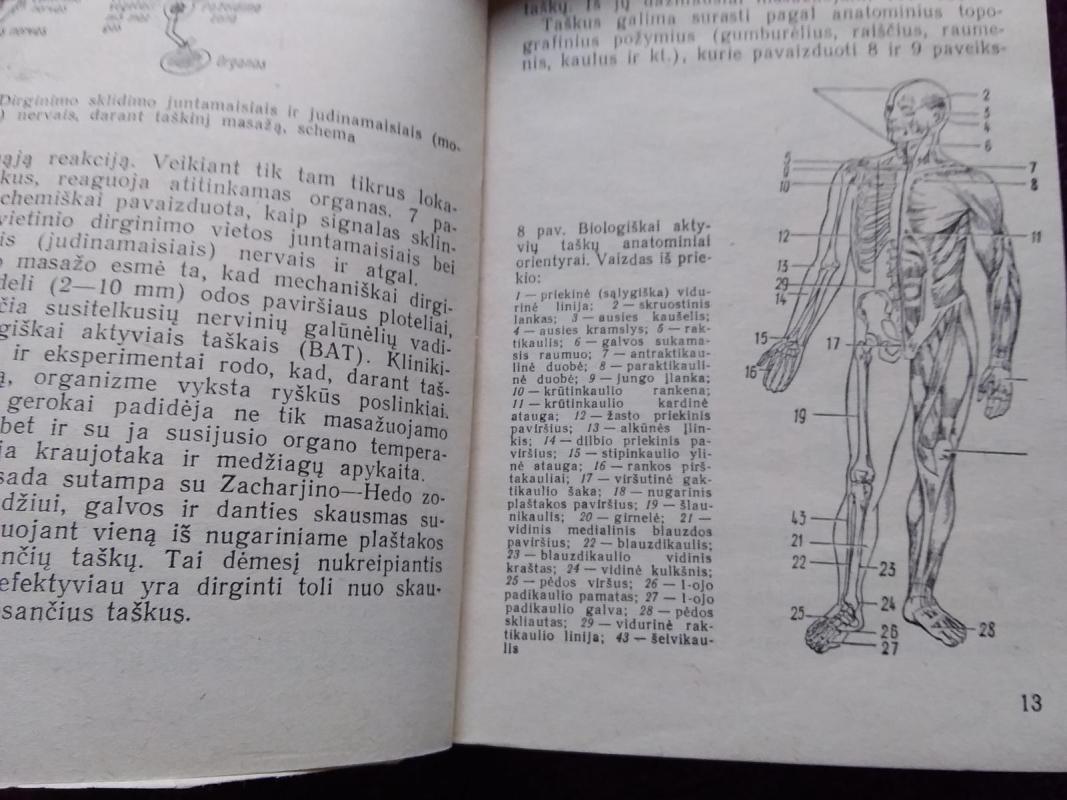Taškinis masažas - V. Dubrovskis, knyga 2
