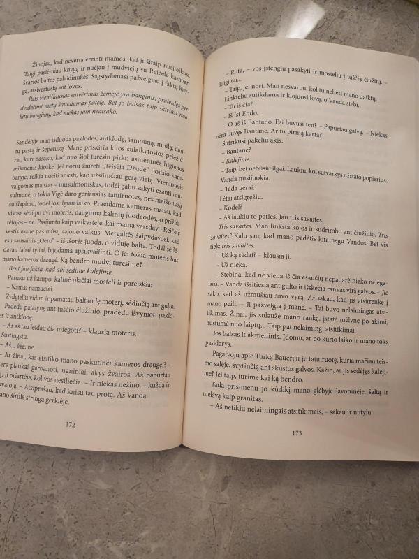 Maži svarbūs dalykai - Jodi Picoult, knyga