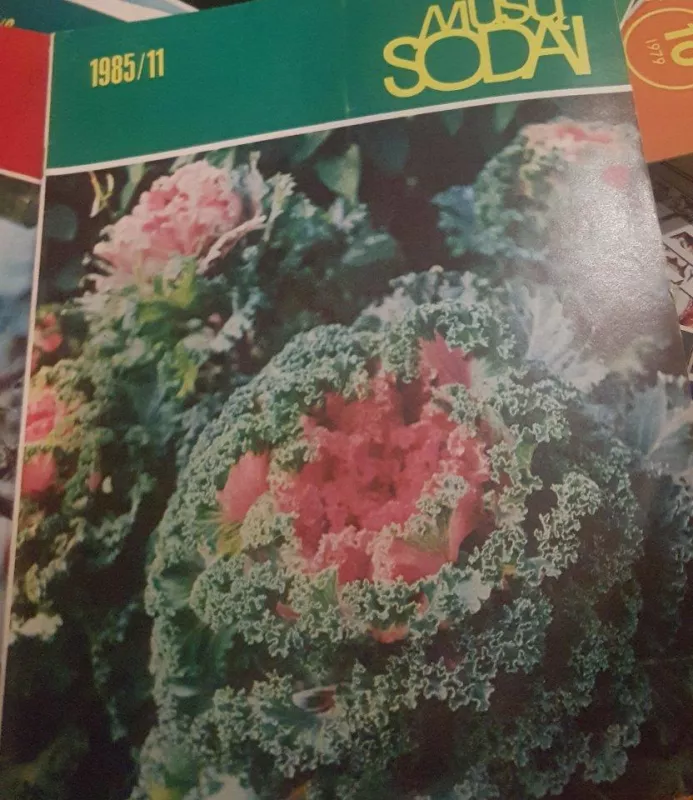 Mūsų sodai 1985 Nr. 11 - Autorių Kolektyvas, knyga