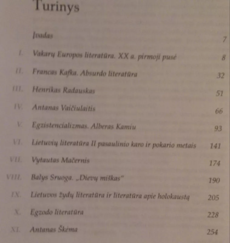 Literatūros vadovėlis 12 kl. Mokinio knyga I d. - R., I.  ir kiti Dilienė, Kanišauskaitė, knyga 3