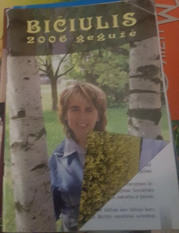 Bičiulis 2006 gegužė - Autorių Kolektyvas, knyga