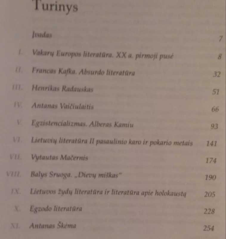 Literatūros vadovėlis 12 kl. Mokinio knyga I d. - R., I.  ir kiti Dilienė, Kanišauskaitė, knyga