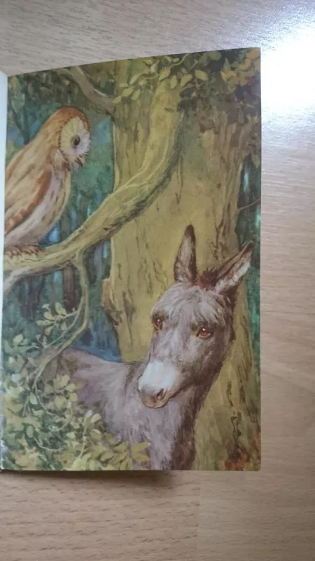 Ned, the lonely donkey: A story - Autorių Kolektyvas, knyga