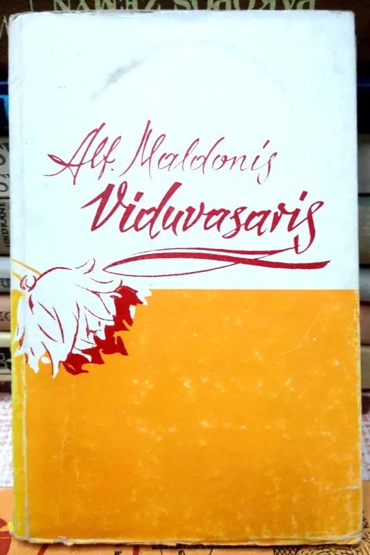 Viduvasaris - Autorių Kolektyvas, knyga