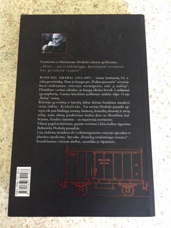 Pernelyg triukšminga vienatvė - Bohumil Hrabal, knyga