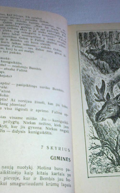 Bembis. Bembio vaikai - Feliksas Zaltenas, knyga 2