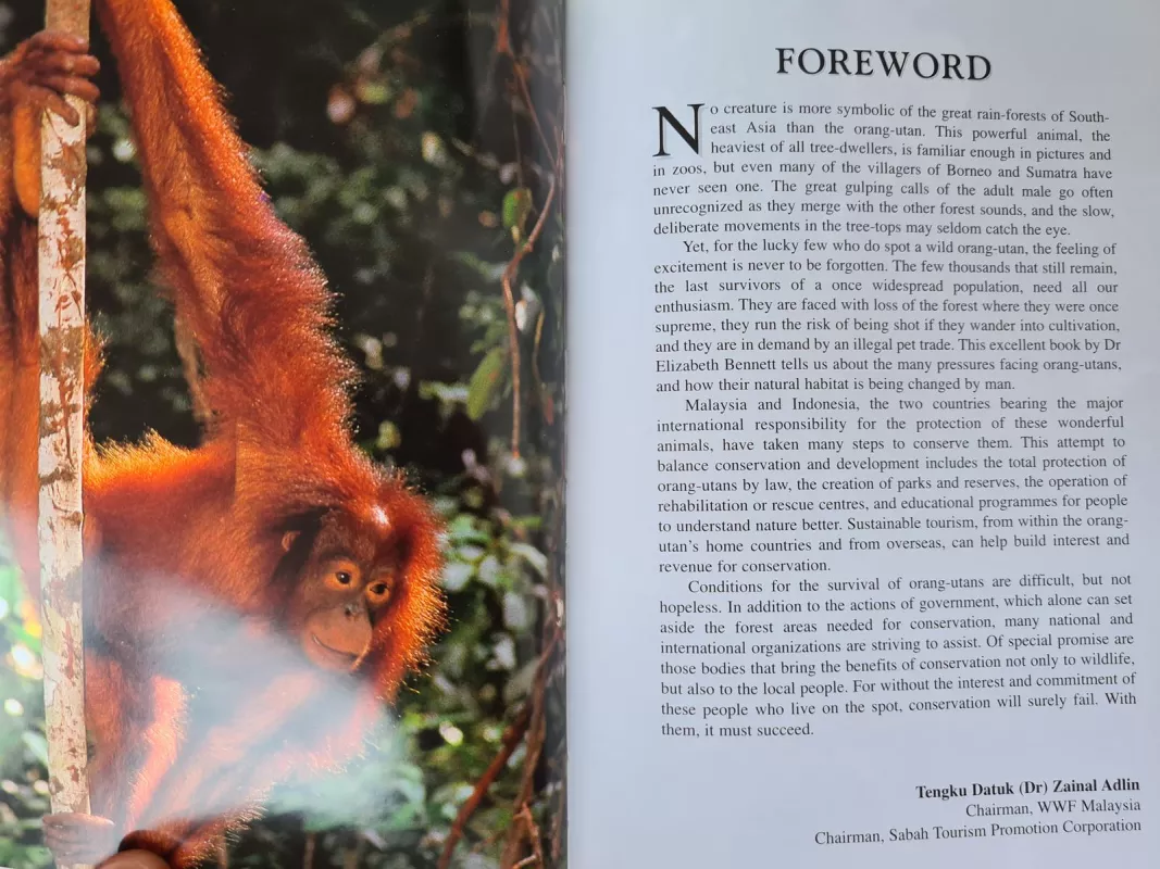 The Natural History of Orang Utan - Elisabeth Bennett, knyga 3