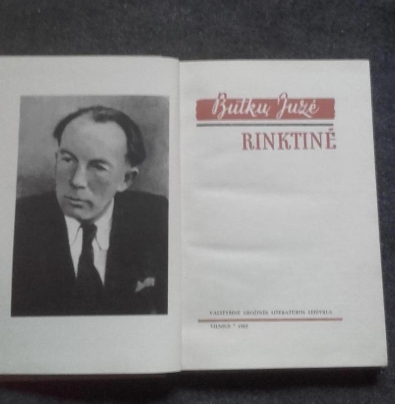 Rinktinė - Juzė Butkų, knyga 2