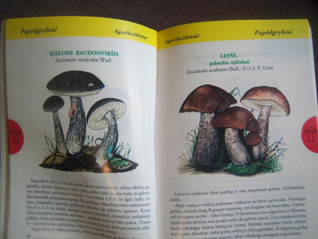 Grybai - Vincentas Urbonas, knyga 2