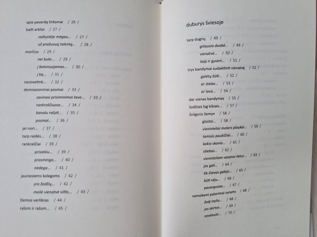 Vaikšto vienas - Alvydas Katinas, knyga 4