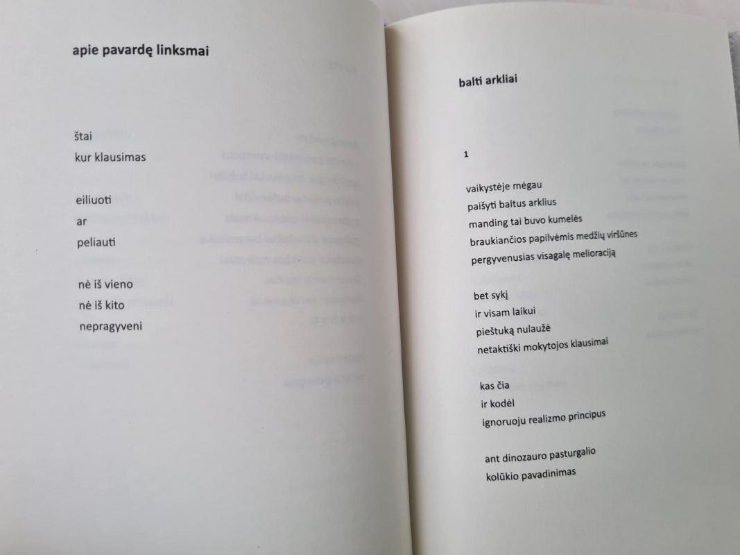 Vaikšto vienas - Alvydas Katinas, knyga 2