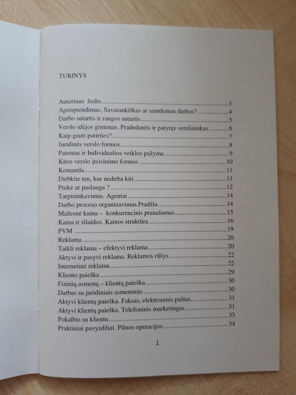 Pradedančio verslininko vadovas - Sergejus Bagdonavičius, knyga 2