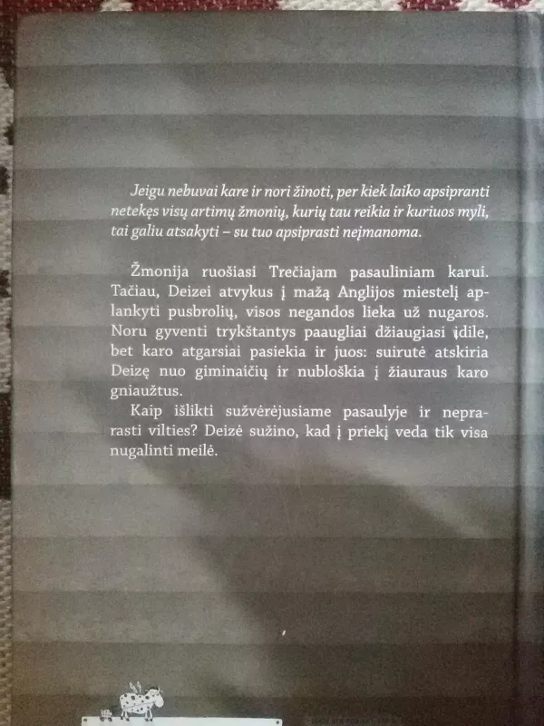 Taip dabar ir gyvenu - Meg Rosoff, knyga 2