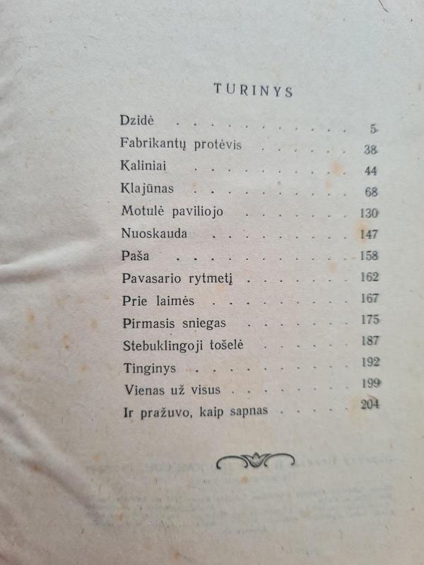 Ir pražuvo kaip sapnas - Pelėda Lazdynų, knyga 3