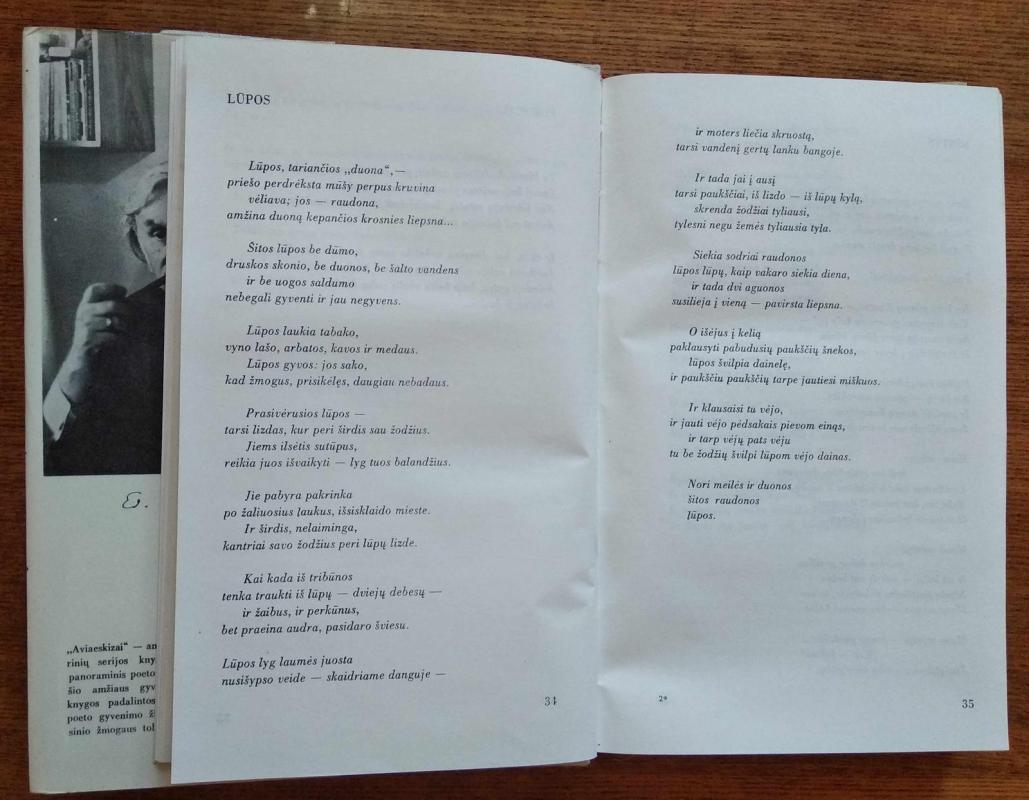 AVIAESKIZAI - Eduardas Mieželaitis, knyga 5