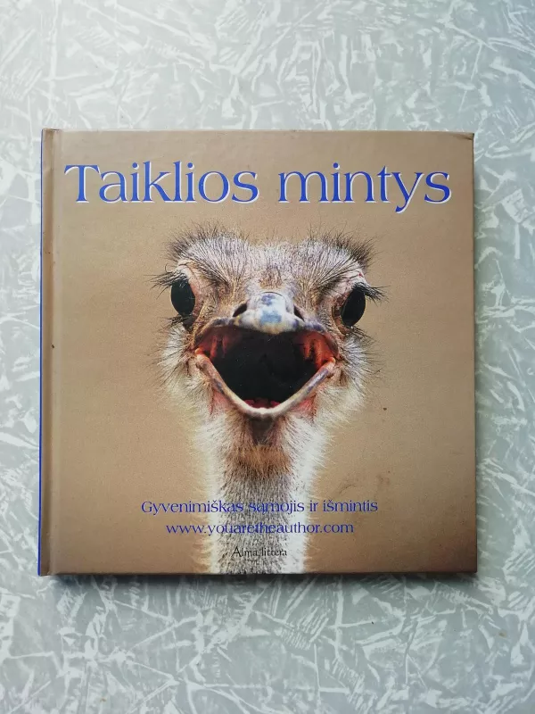 Taiklios mintys - Autorių Kolektyvas, knyga