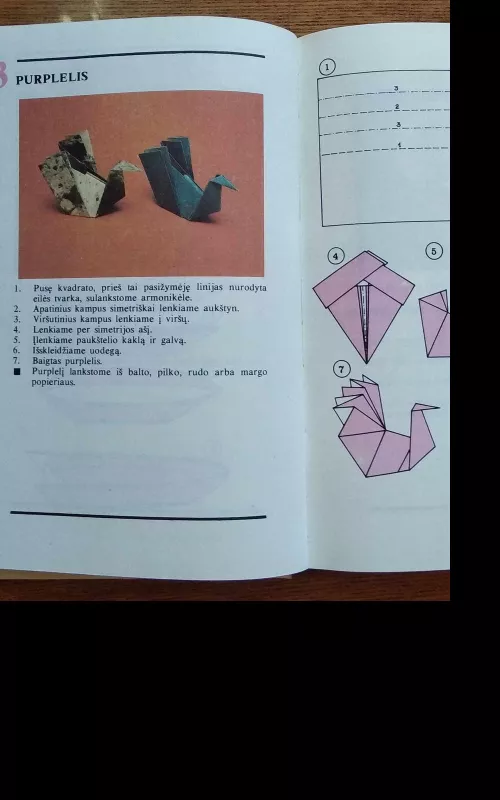 Susipažinkite-origamis - J. Paulionytė, knyga