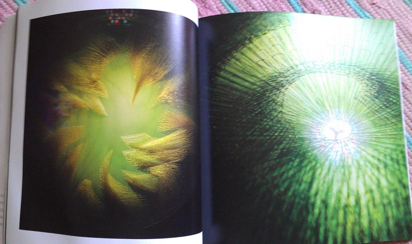 Dance of Fire - Jolanta Šmiditienė, knyga 3