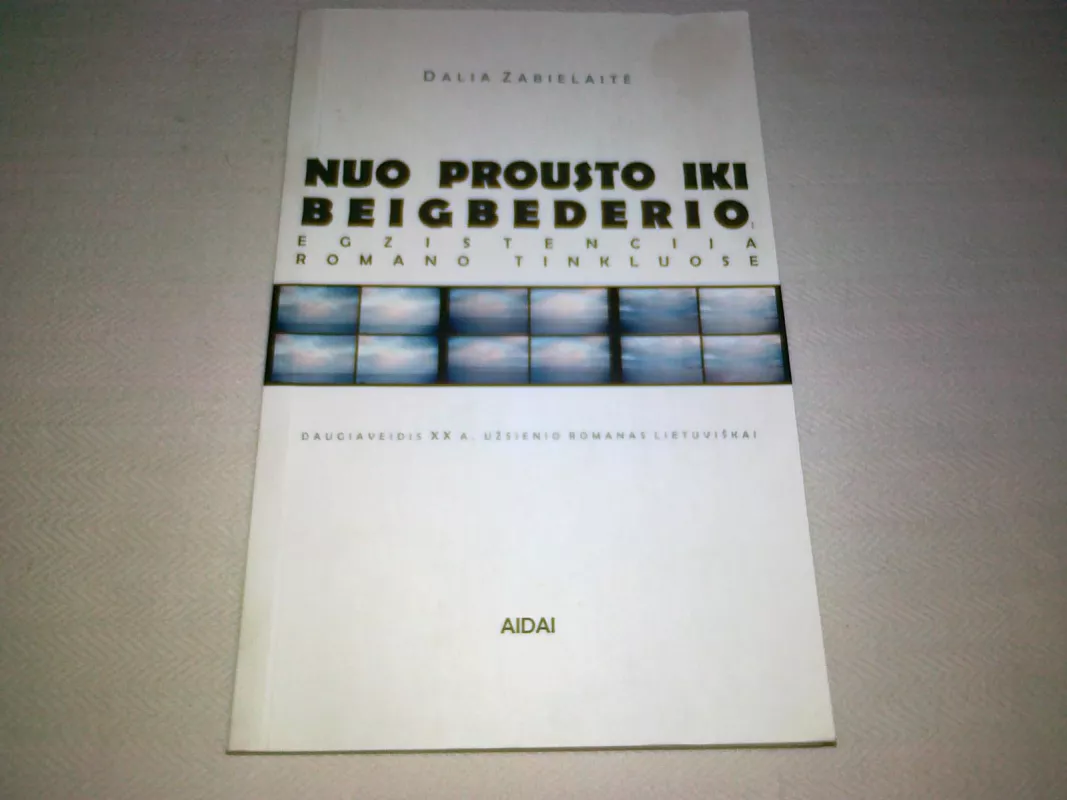 Nuo Prousto iki Beigbederio: egzistencija romano tinkluose - Dalia Zabielaitė, knyga 6