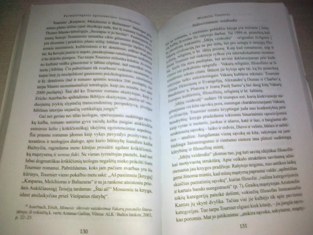 Nuo Prousto iki Beigbederio: egzistencija romano tinkluose - Dalia Zabielaitė, knyga 2