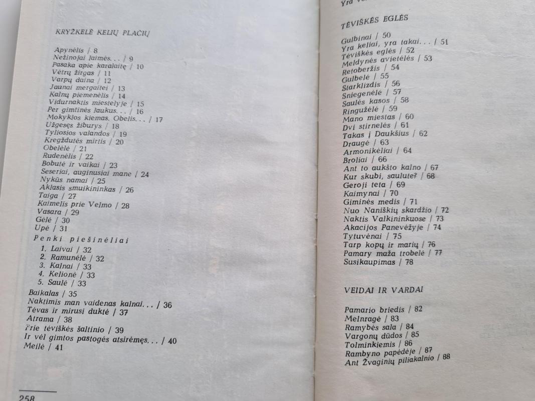 Sunki kelionė - Paulius Drevinis, knyga 4