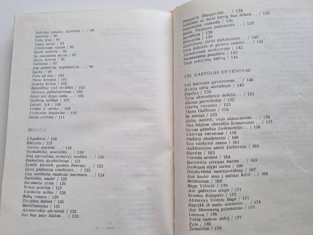 Sunki kelionė - Paulius Drevinis, knyga 3