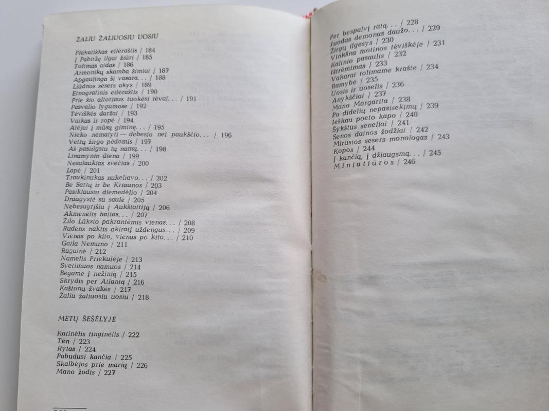 Sunki kelionė - Paulius Drevinis, knyga 2