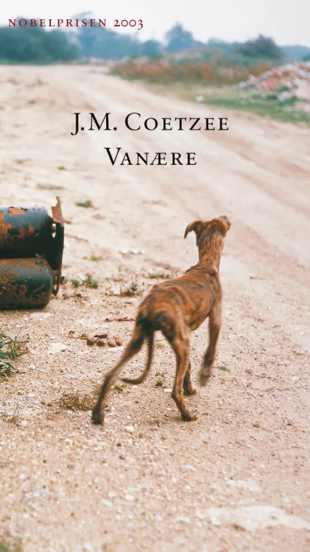 Vanære - J. M. Coetzee, knyga