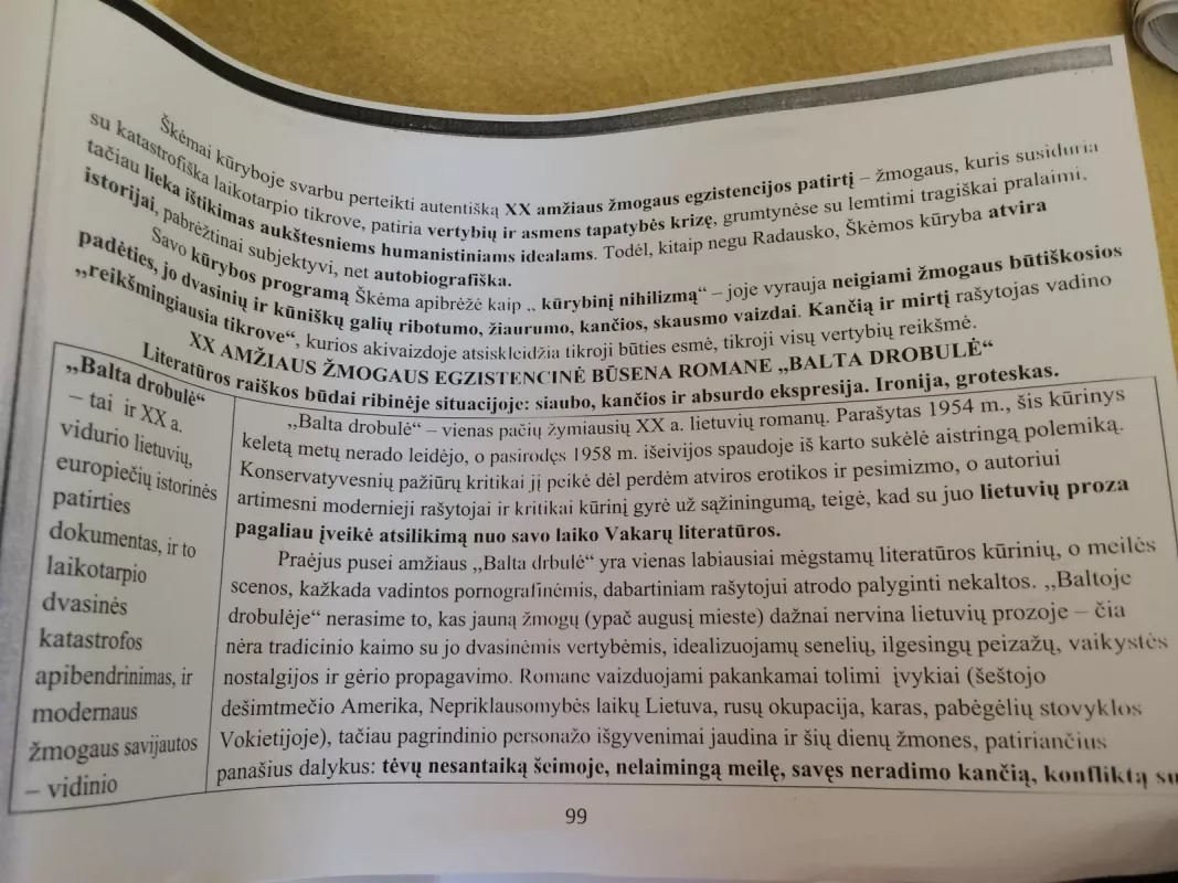 Vienu smūgiu pasirenk lietuvių kalbos valstybiniam egzaminui. Antroji knygelė - Alijauskienė Nomeda, knyga