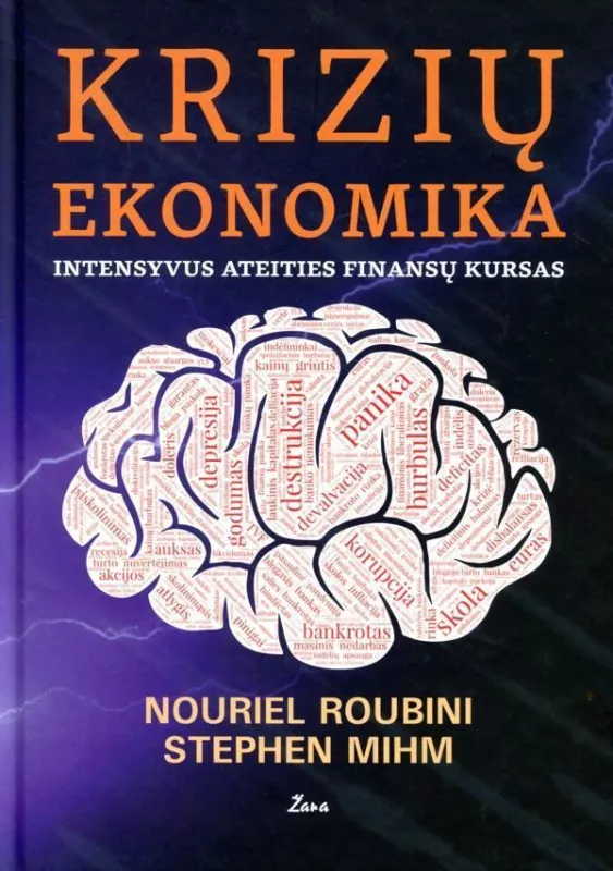 Krizių ekonomika. Intensyvus ateities finansų kursas - Nouriel Roubini, Stephem Mihm Nouriel Roubini, Stephem Mihm, knyga