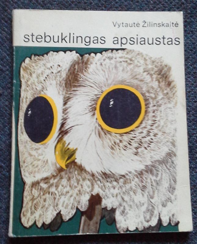 Stebuklingas apsiaustas - Vytautė Žilinskaitė, knyga 3