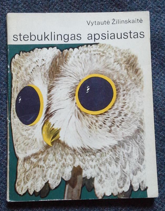 Stebuklingas apsiaustas - Vytautė Žilinskaitė, knyga 2