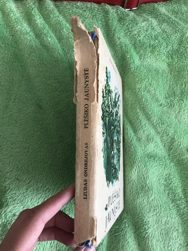 Plėšiko jaunystė - Liudas Ondrejovas, knyga 6