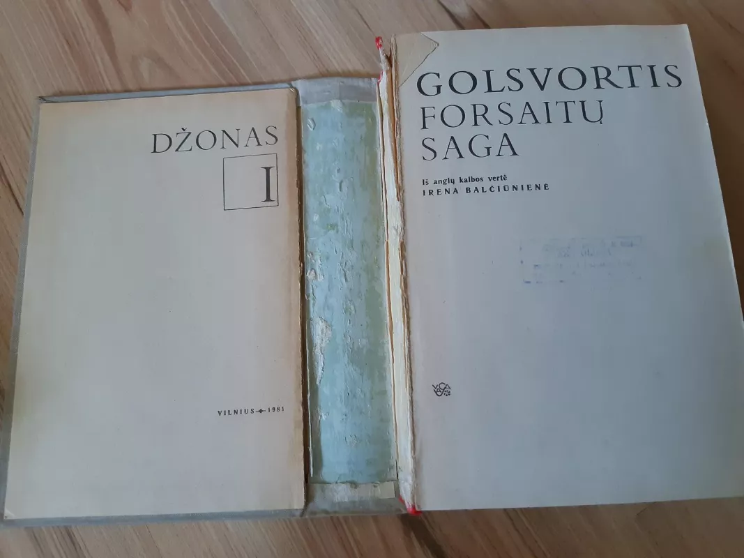 Forsaitų saga (I tomas) - Džonas Golsvortis, knyga 4
