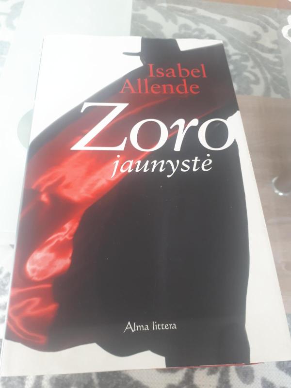 Zoro jaunystė - Isabel Allende, knyga 4