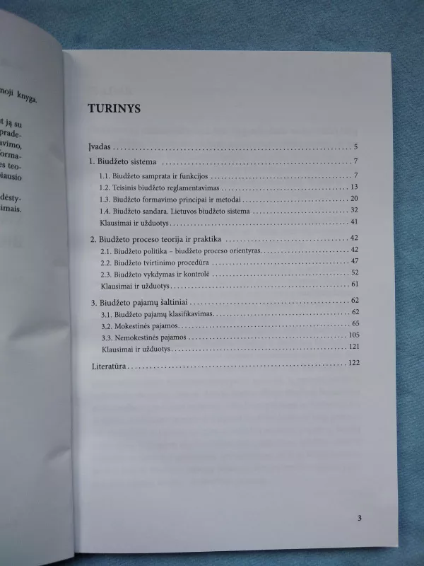 Valstybės ir savivaldybių biudžetų pajamos - Ilona Skačkauskienė, Laima  Šapalienė, knyga