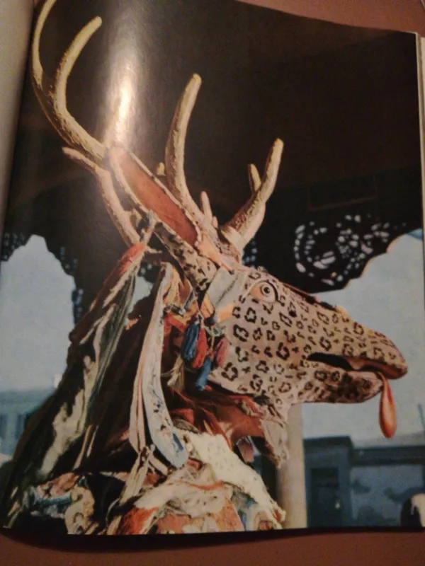 Mongolų lamų ritualinės kaukės - Werner Forman Bjamba Rintschen, knyga 5
