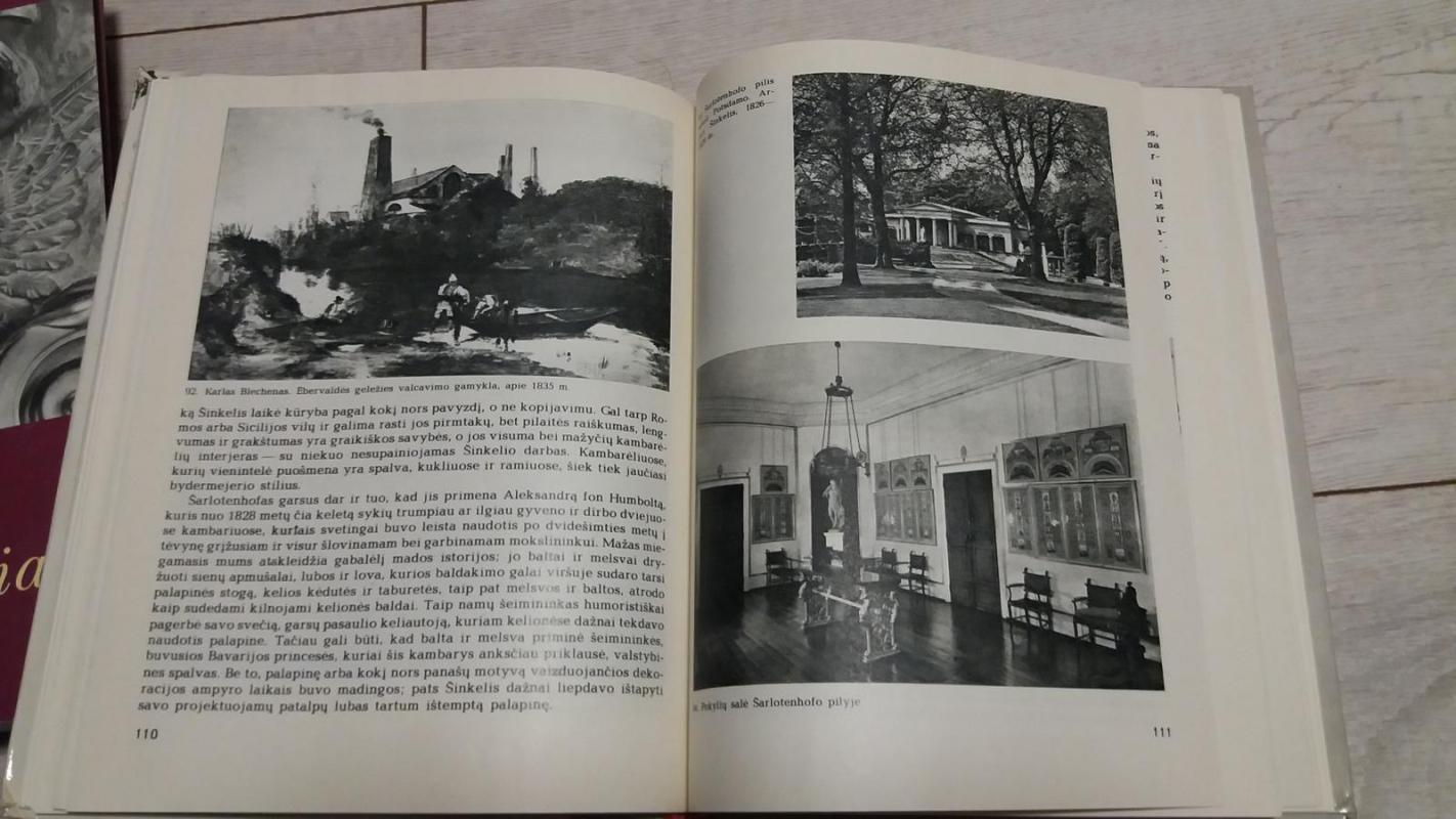 Kelionė į Klasicizmą - Hansas Bechšteinas, knyga 2