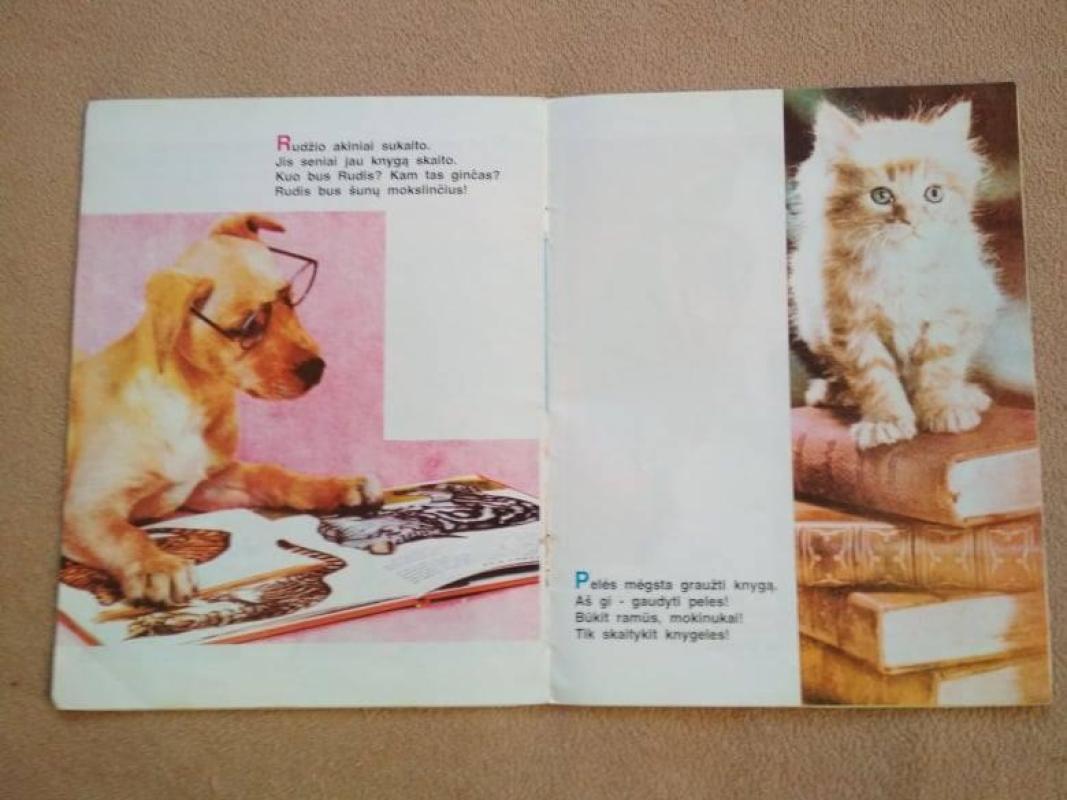 Mano draugai - Autorių Kolektyvas, knyga 4